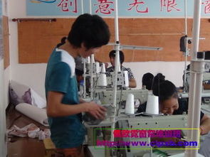 柯橋窗簾產業全攻略 從培訓到批發的專業指南