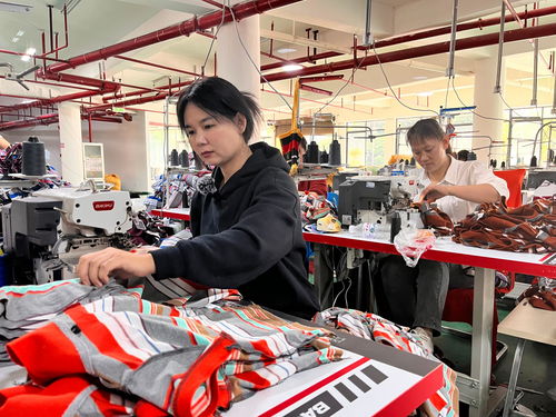 元陽搭建就業(yè)橋 窗簾培訓(xùn)助力家門口掙幸福薪